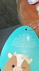 Squishmallows Griella the Cow 8” Plush Stuffed Animal 2023. NEW — photo 3