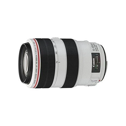 Canon 70 300 L for sale | eBay