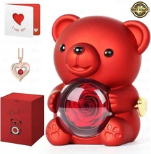 Romantic Hug Teddy Bear with Necklace, Preserved Red Rose, Gift Box for Women
