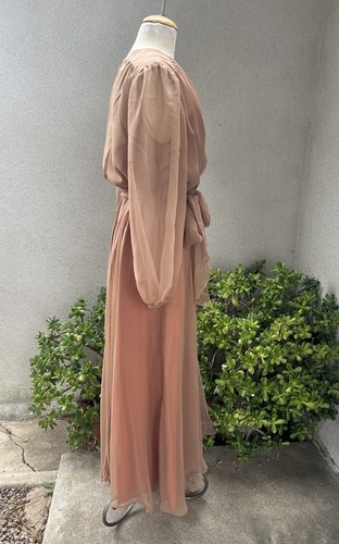 Vtg Chiffon Maxi Dress Soft Brown Sz M Celyce Designs Inc - Picture 3 of 15