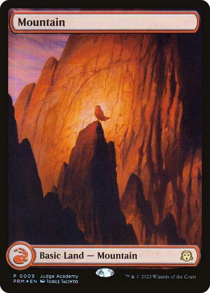英国土地单个Magic: the Gathering 卡片，贴膜| eBay