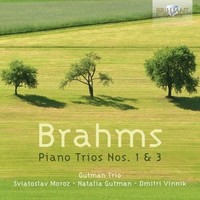 Johannes Brahms - Piano Trios Nos. 1 3 - Cd - G3Z