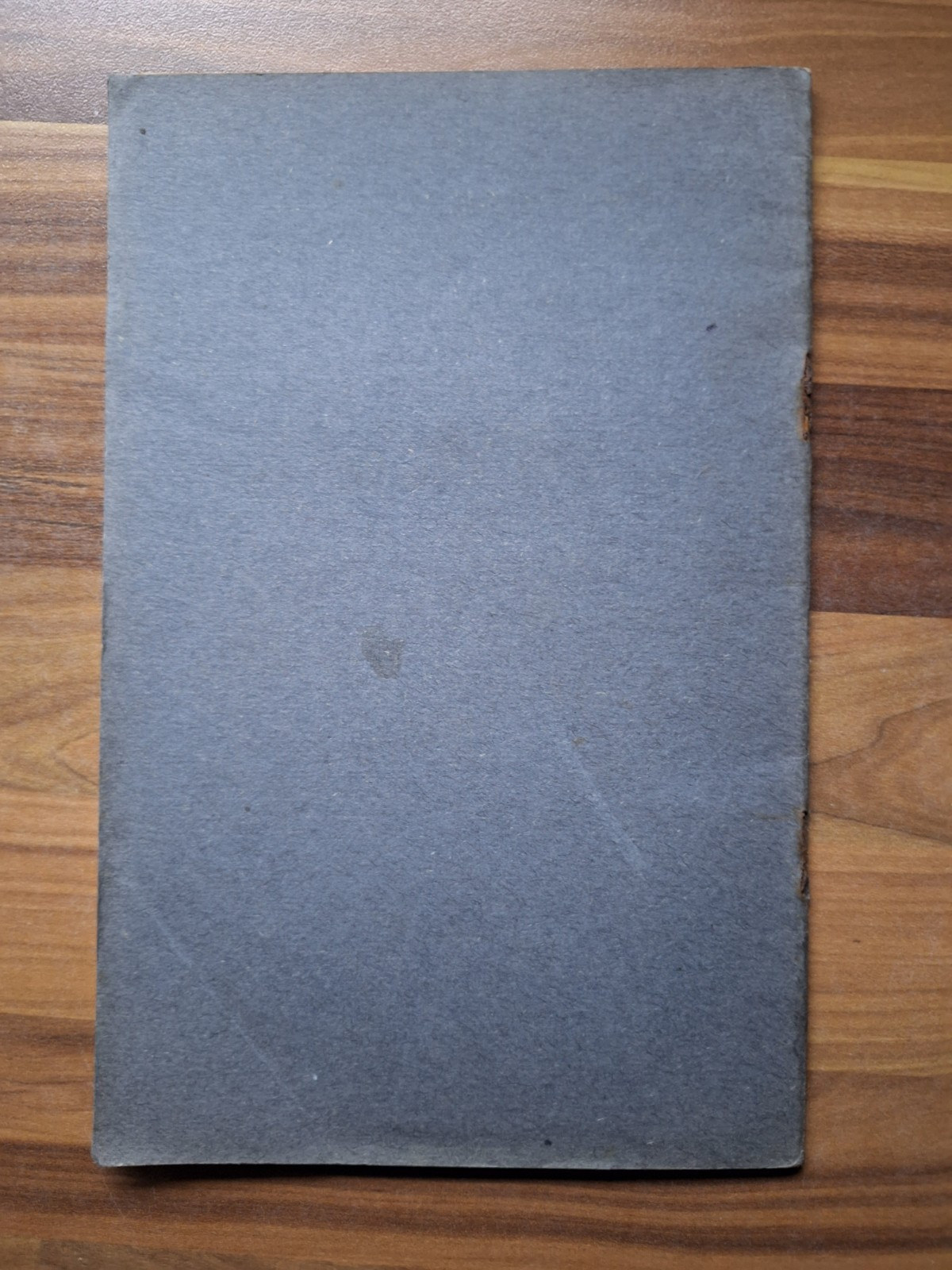 Picture 4