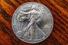 2014 American Silver Eagle US Mint Walking Liberty Coin 1oz .999 fine Pristine!
