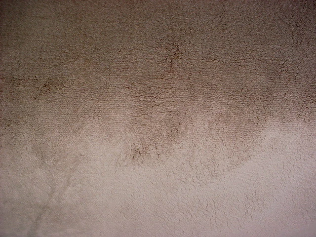 Tecido de estofamento de veludo 7-5/8Y Chivasso CH3054 The Touch marrom fawn pilha alta - Imagem 3 de 4