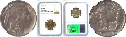 1924 5C Buffalo Nickel  NGC MS-64