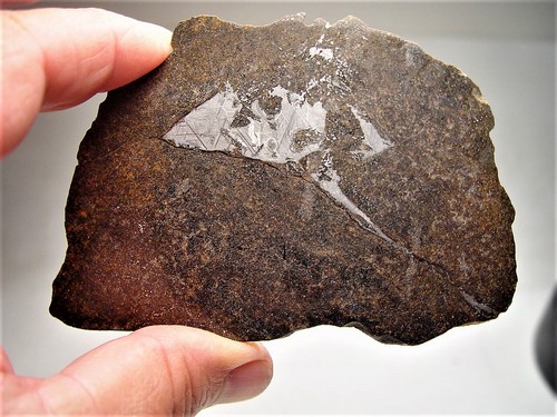 TOP ANGEBOT! SELTENER WINONAIT! FABELHAFTE NWA 13917 METEORITENSCHEIBE! 76 GMS - Bild 1 von 9