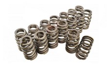 Pac Racing Pac-1219-16 1.307 Beehive Valve Springs - .625 Lift Gm Ls Pac Racing Pac-1219-16 1.307 Beehive Valve Springs - .625 Lift Gm Ls