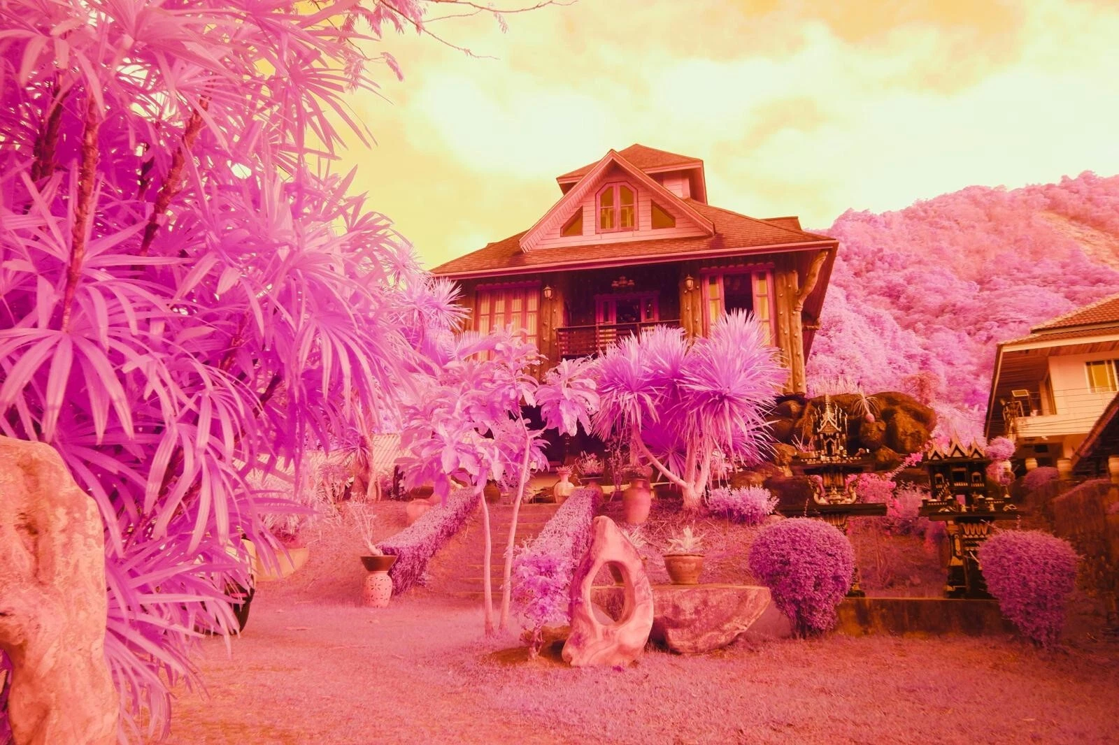 550nm Long Pass ( Candy ) Infrared Filter 55mm *** See Video *** UK Seller