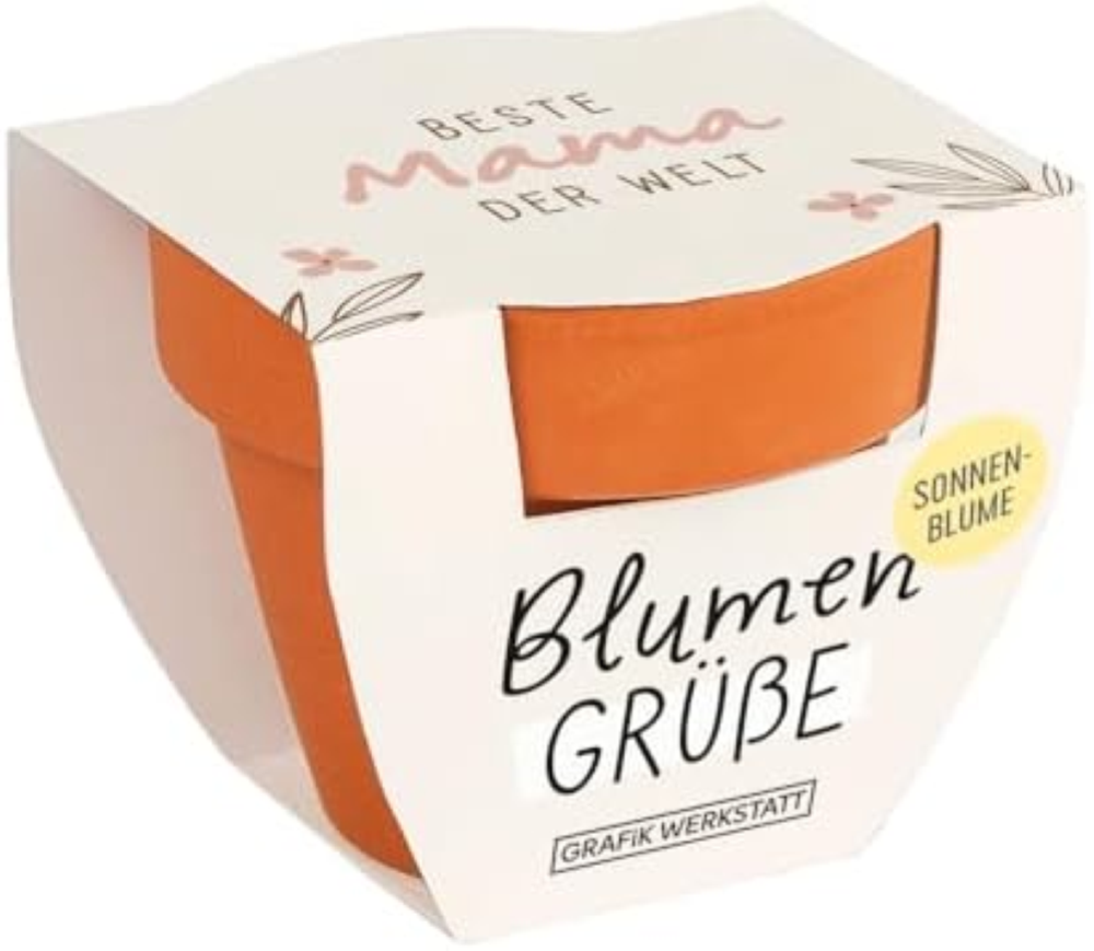 Grafik-Werkstatt Mix di fiori estivi | Mini vasino in terracotta con semi | Migl