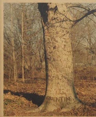 Scott Rossi Common Place (Taschenbuch)