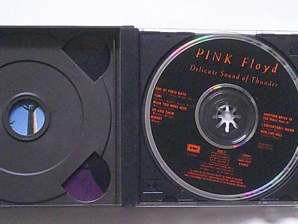 PINK FLOYD: DELICATE SOUND OF THUNDER - DoCD - - Bild 4 von 4