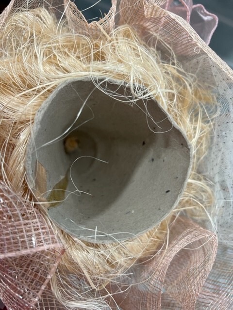 Bild 5 von 5