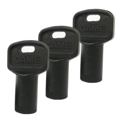 Original Spare Part CAME 119RIY077 Set Of 3 Motor Unlocking Keys