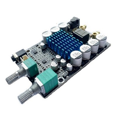 Wide Voltages Ranges 12-24V Mono Digital Amplifier Module for Audios Systems