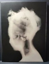 DAVID MAISEL History's Shadow 2011 Hardcover w/DJ 1st Edition ☆ OVERSIZED