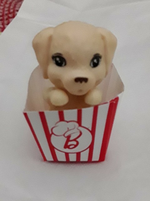 barbie popcorn pet
