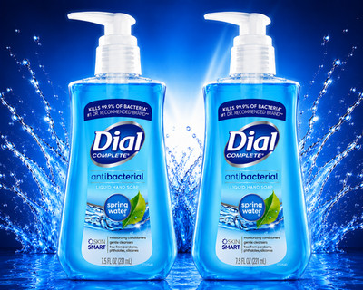 Dial Complete Antibacterial Liquid Hand Soap 2 Pack Spring Water 7.5 oz Pump