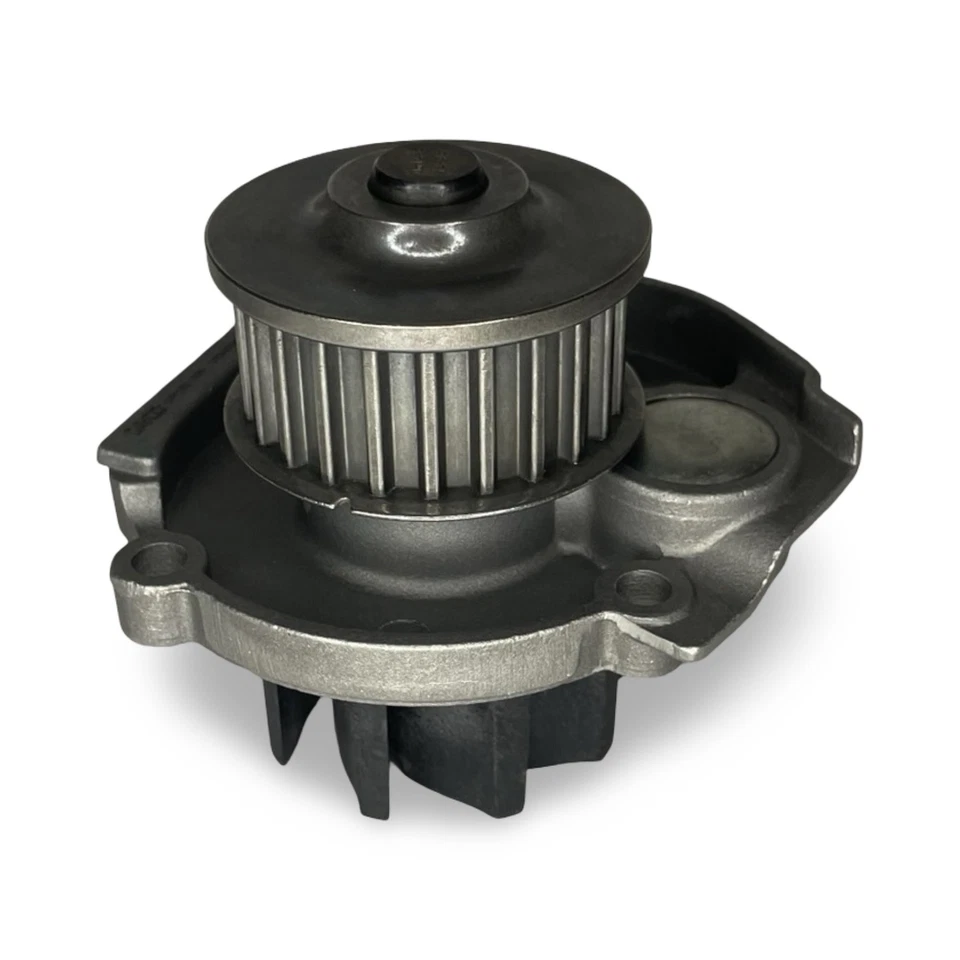 KIT DISTRIBUZIONE CON POMPA ACQUA + CINGHIA SERVIZI FIAT PANDA 500 PUNTO 1.2 1.4 - Imagen 4 de 4