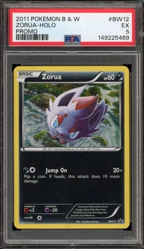 Pokemon Zorua Black & White Holo Promo BW12 PSA 5