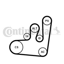 CONTINENTAL CTAM Keilrippenriemensatz für FORD SEAT VW