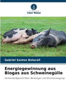 Gabriel Santos Bolacell | Energiegewinnung Aus Biogas Aus SchweinegüLle | Buch