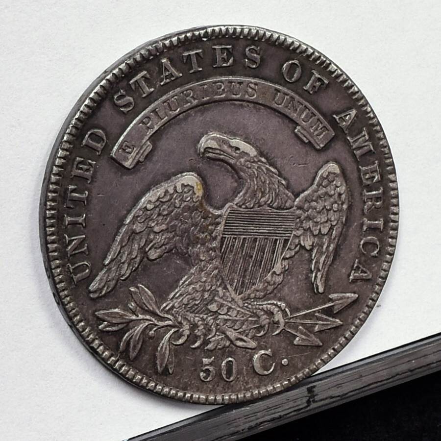 Picture 6 of 9