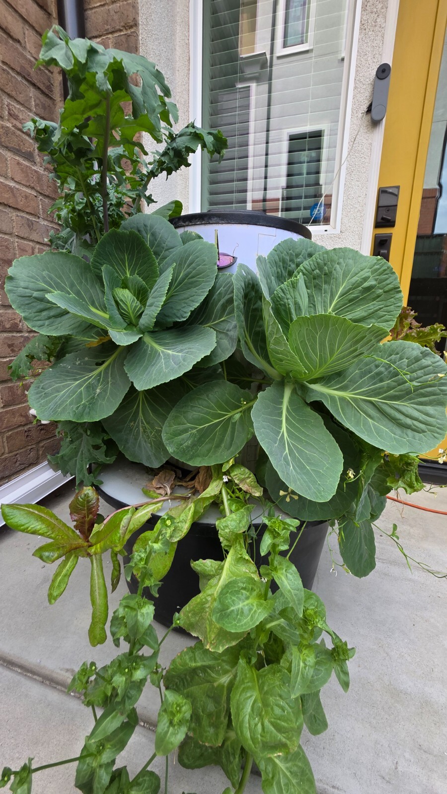 hydroponic vertical tower growing system-2025