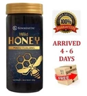 Kinohimitsu Wild Tualang Honey 500g
