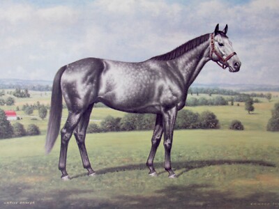 Richard Stone Reeves - Native Dancer - Horse Racing Print - MINT