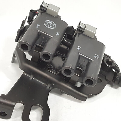 1JU0様 2730123700 Genuine Hyundai Kia Ignition Coils 4pcs for
