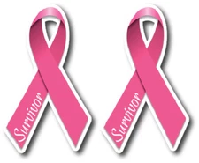 2x Pink Ribbon Breast Cancer Sucks Survivor decal bumper sticker car truck Auto