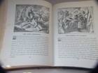 Bild 8 von 12
