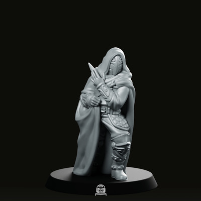 DND Masked Assassin Miniature RPG Pathfinder TTRPG