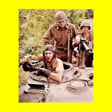 Donald Sutherland - Kelly's Heroes #A1G349 - 8x10 Photo Printed at a Lab