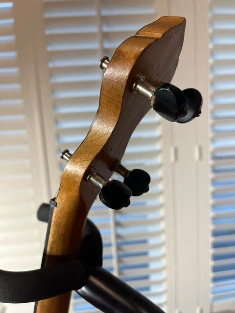 Picture 5 of 11