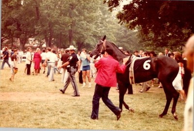 1970s Saratoga Race Course Horse 6 Paddock Crowd Spectator Photo Print