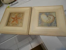 starfish & nautilus seaside  prints framed under glass 11" x 11" vg+ condition