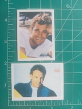 BEVERLY HILLS 90210 LUKE PERRY & IAN 1990 the wall live Pop TV Star Paper Card