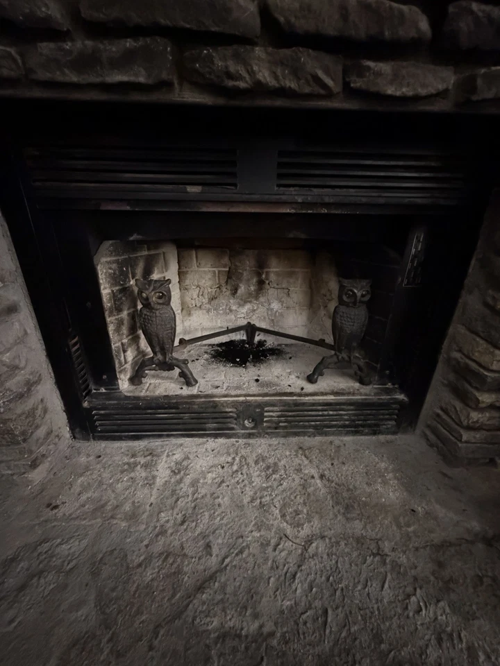 Antique Cast Iron Owl Andirons W/ Glass Amber Eyes Fireplace Andirons 13" Tall - Image 2 of 4