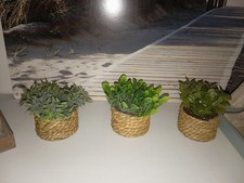 3 Kleine Künstliche Deko Pflanzen in Bast Ko...