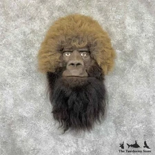 #30918 E | Replica Bigfoot Head Taxidermy Mount For Sale