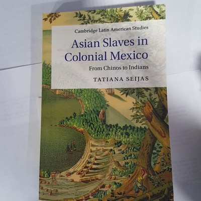 Asian Slaves in Colonial Mexico : From Chinos to Indians, Paperback by Seijas...