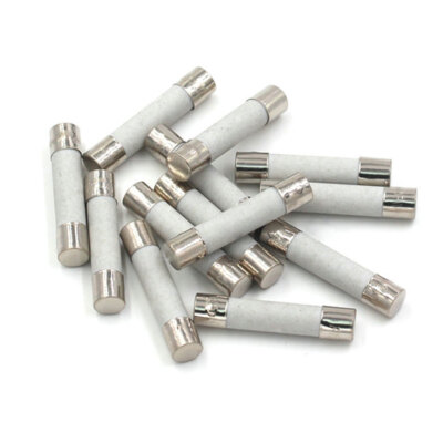 100pcs 20Amp Universal Microwave Ceramic Tube Slow Blow Wire Ovens Fuse USA