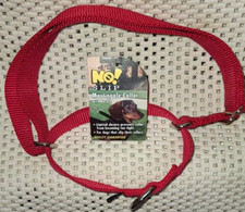New No Slip Martingale Adjustable Dog Collar, RED, 1" x 17"-24" By Premier Pet