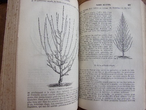 Agriculture. Le nouveau jardinier. 500 dessins 1877. 2/2vols - Picture 8 of 11