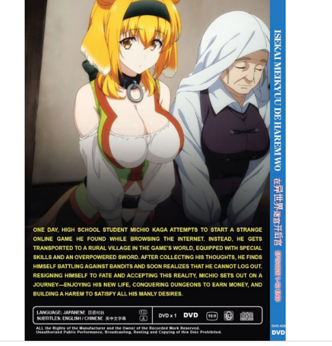 DVD ANIME ISEKAI MEIKYUU DE HAREM WO VOL.1-12 END *UNCUT* REG ALL ENGLISH  SUBS