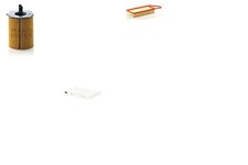 MANN-FILTER Inspektionspaket Filtersatz L Filtereinsatz Partikelfilter für XSARA