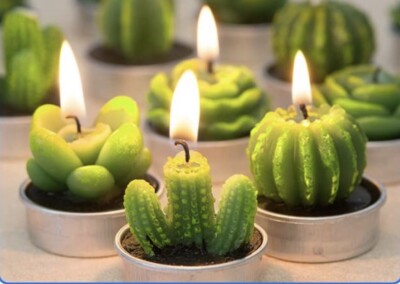 Cactus Tea Light Candles Decorative For Any Room Conversation Piece 6 Candles