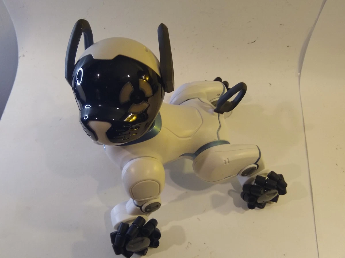 Robot dog named best sale chip